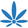 Vaporizers Vaporizers
